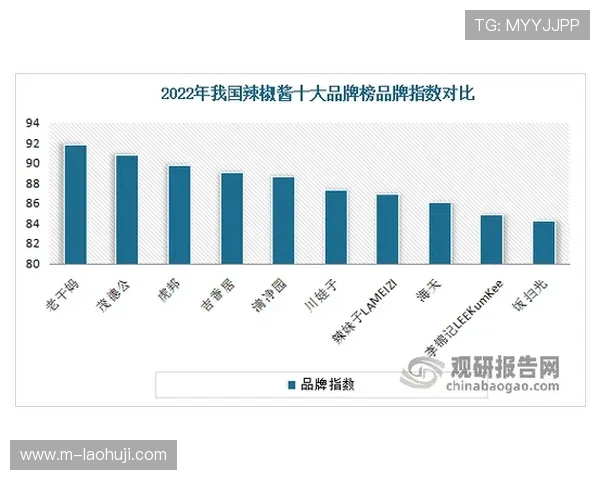 乐鱼电子技术研发突破，核心专利助力企业在激烈市场中占据优势