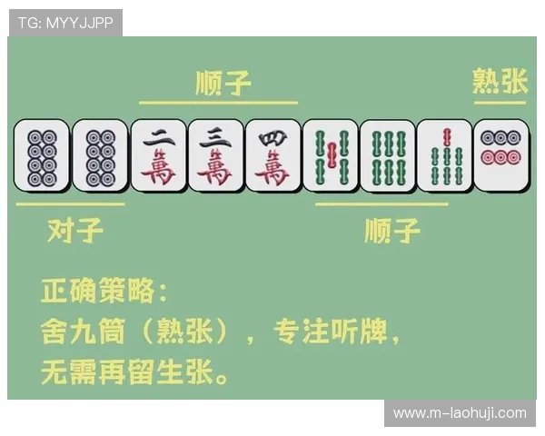 麻将胡了的各种类型及其背后隐藏的策略分析
